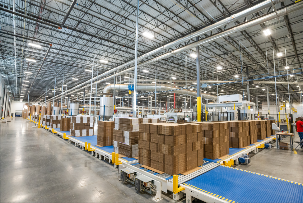 Full plant conveyor system equipment — detail view 4